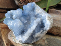 Natural Celestite Geode Specimens x 1 From Sakoany, Madagascar