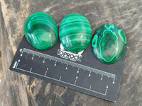 Hand Made Oval Flower Banded Malachite Cabochons x 19 From Congo