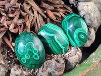 Hand Made Oval Flower Banded Malachite Cabochons x 19 From Congo