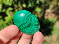 Hand Made Oval Flower Banded Malachite Cabochons x 19 From Congo