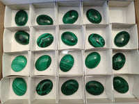 Hand Made Oval Flower Banded Malachite Cabochons x 19 From Congo