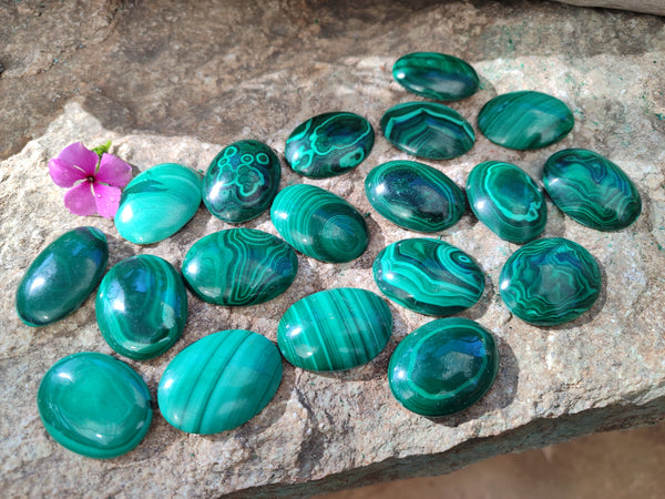 Hand Made Oval Flower Banded Malachite Cabochons x 19 From Congo