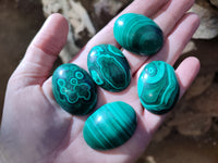 Hand Made Oval Flower Banded Malachite Cabochons x 19 From Congo