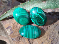 Hand Made Oval Flower Banded Malachite Cabochons x 19 From Congo