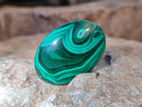 Hand Made Oval Flower Banded Malachite Cabochons x 19 From Congo