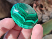 Hand Made Oval Flower Banded Malachite Cabochons x 19 From Congo