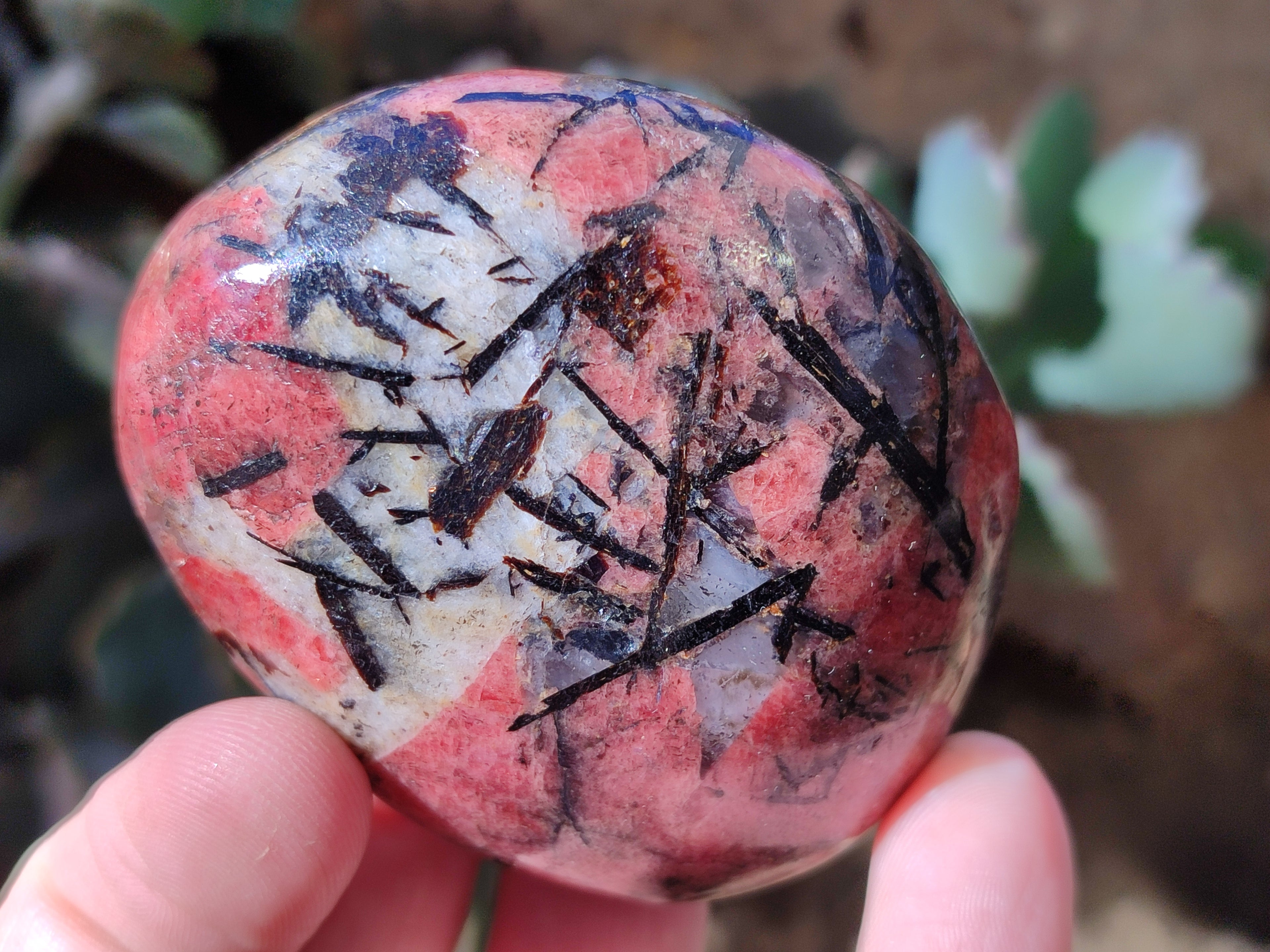 Polished Rhodonite Free Forms x 6 From Rhusinga, Zimbabwe - Toprock Gemstones and Minerals 