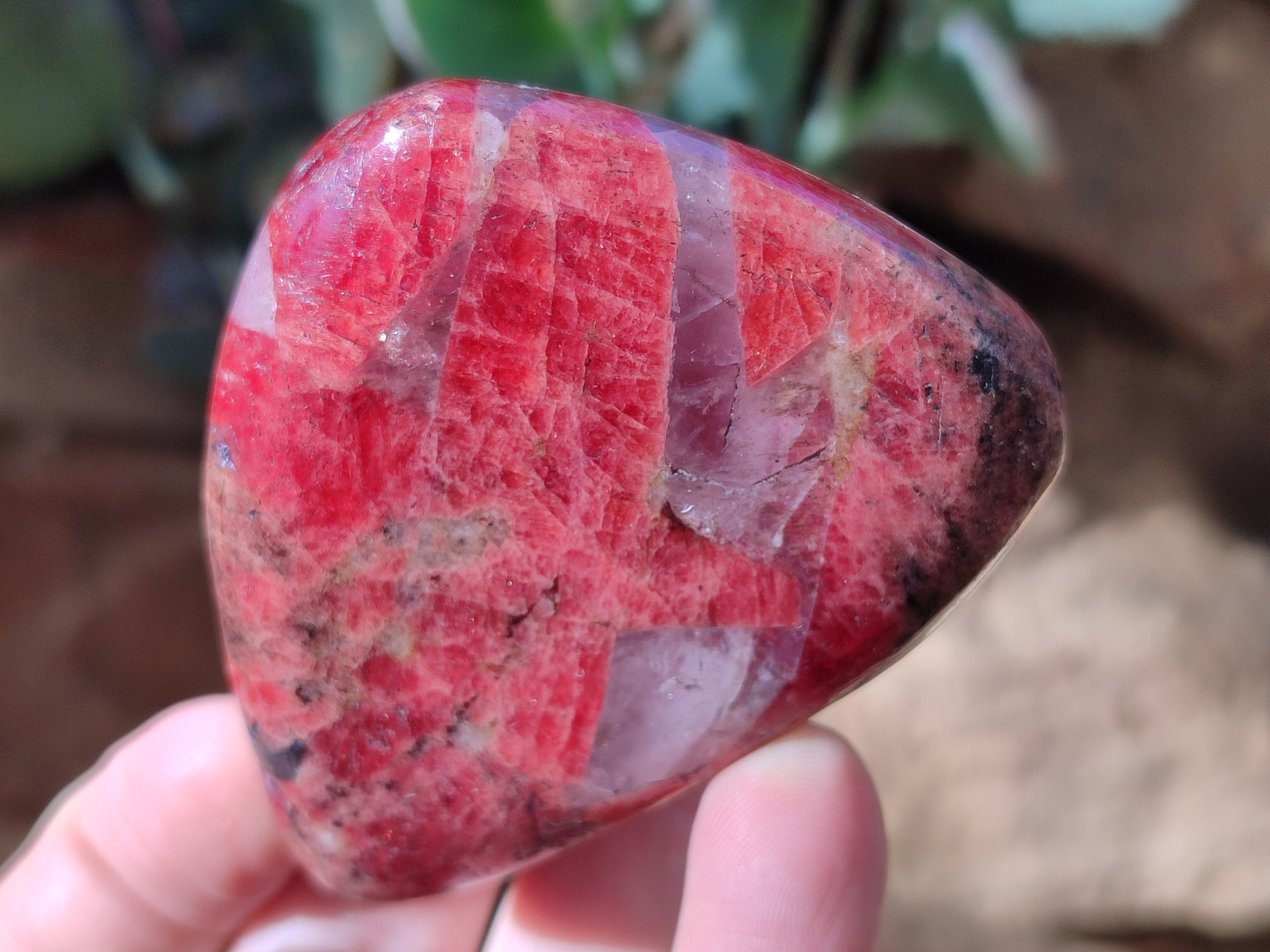 Polished Rhodonite Free Forms x 6 From Rhusinga, Zimbabwe - Toprock Gemstones and Minerals 