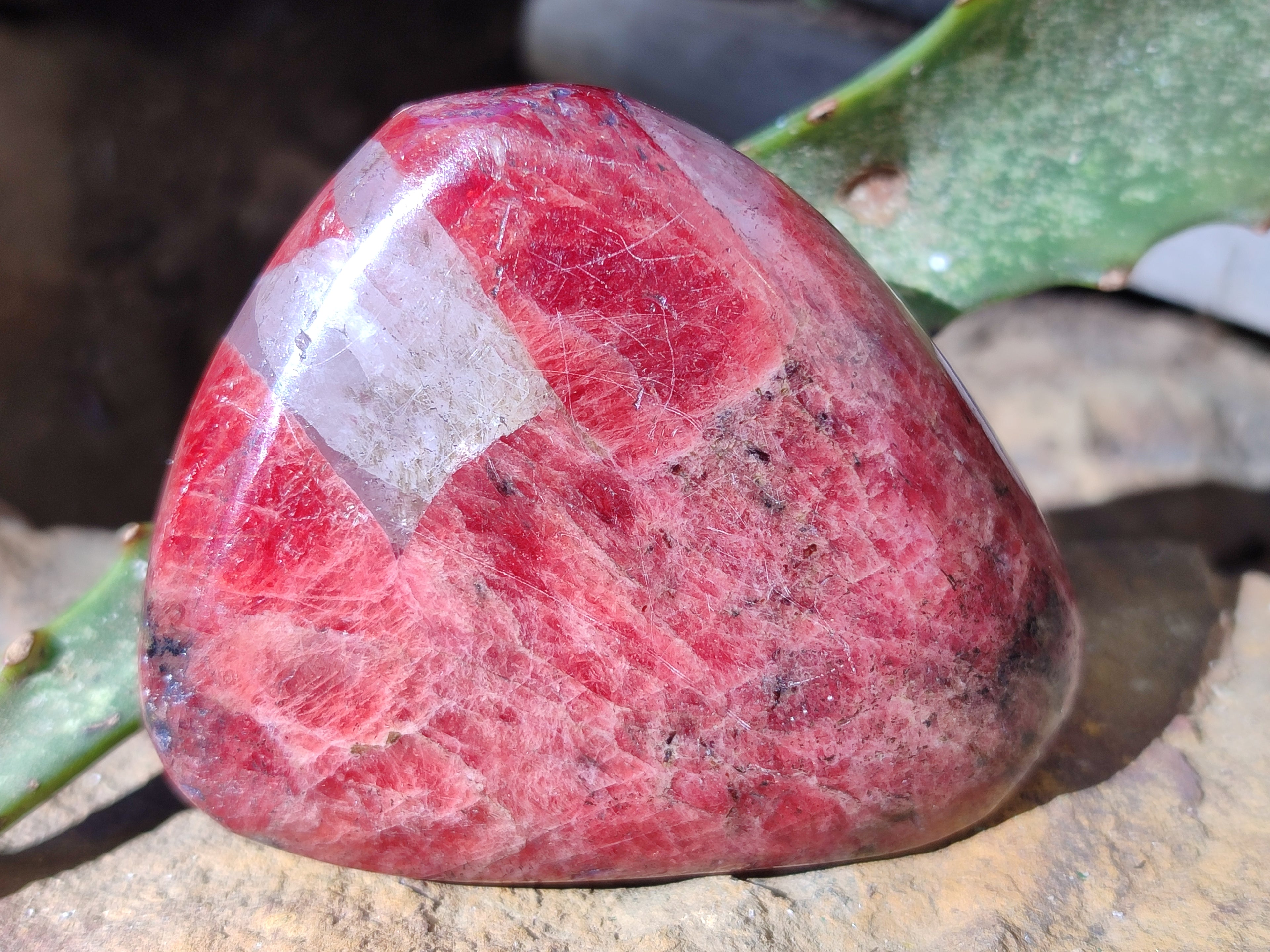 Polished Rhodonite Free Forms x 6 From Rhusinga, Zimbabwe - Toprock Gemstones and Minerals 