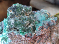 Natural Drusy Salrose Cobaltion Dolomite Specimens x 3 From Kakanda, Congo