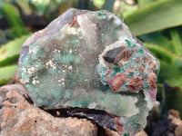 Natural Drusy Salrose Cobaltion Dolomite Specimens x 3 From Kakanda, Congo