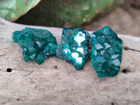 Natural Dioptase Mini Specimen x 35 From Likasi, Congo