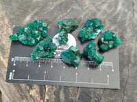 Natural Dioptase Mini Specimen x 35 From Likasi, Congo