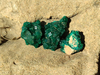 Natural Dioptase Mini Specimen x 35 From Likasi, Congo