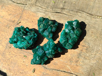 Natural Dioptase Mini Specimen x 35 From Likasi, Congo