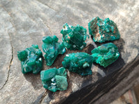 Natural Dioptase Mini Specimen x 35 From Likasi, Congo