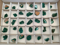 Natural Dioptase Mini Specimen x 35 From Likasi, Congo