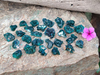 Natural Dioptase Mini Specimen x 35 From Likasi, Congo