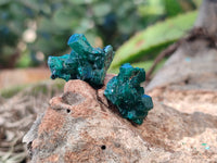 Natural Dioptase Mini Specimen x 35 From Likasi, Congo