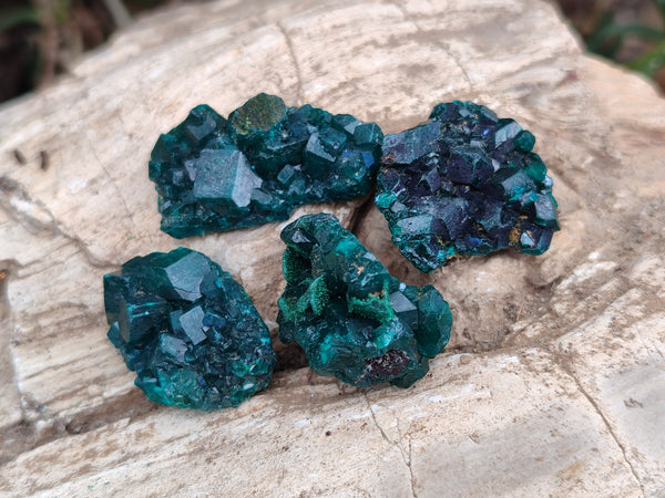 Natural Dioptase Mini Specimen x 35 From Likasi, Congo