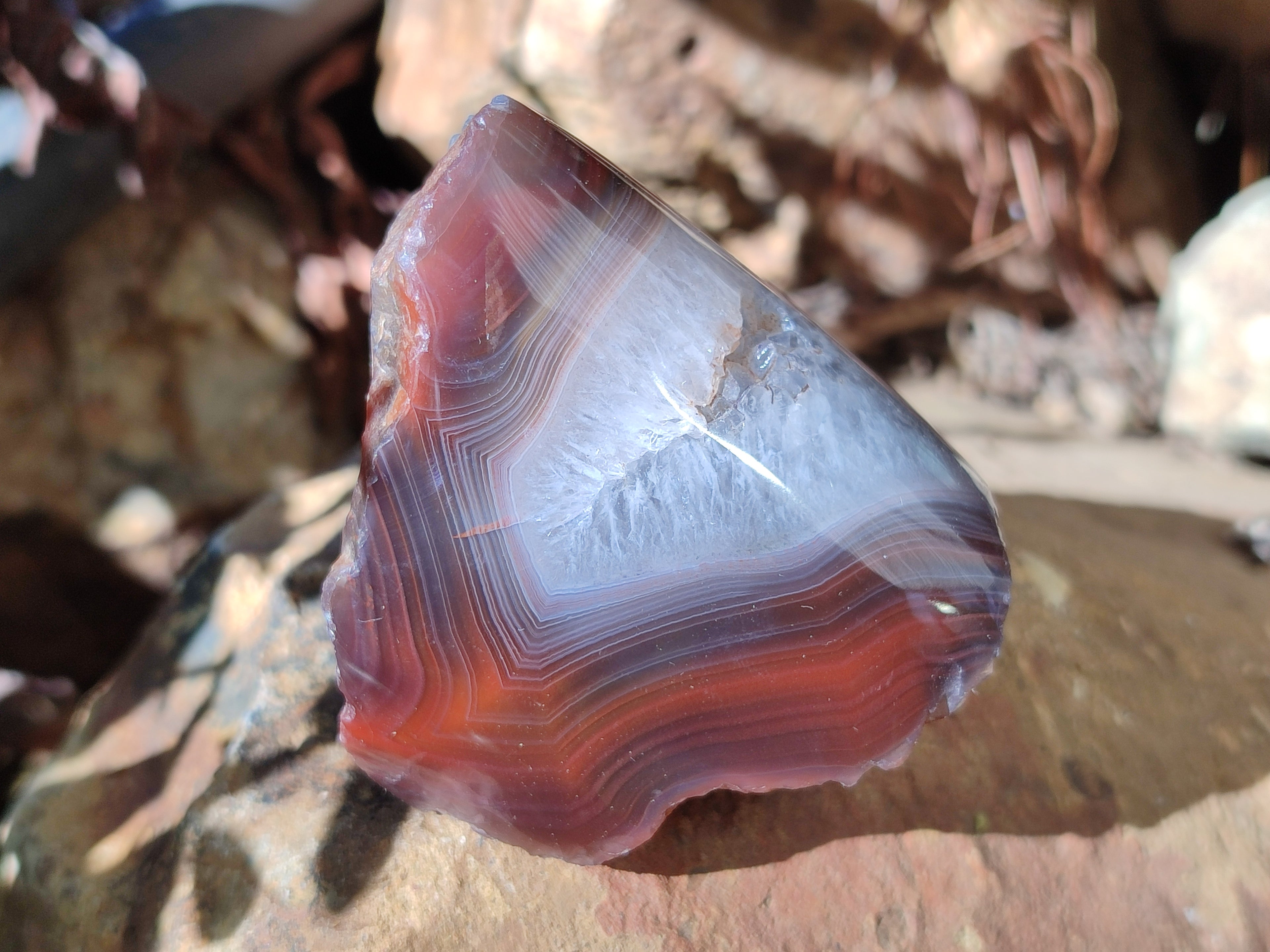Polished On One Side Red Sashe River Agate Nodules x 24 From Zimbabwe - Toprock Gemstones and Minerals 