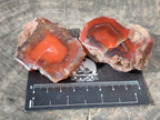 Polished On One Side Red Sashe River Agate Nodules x 24 From Zimbabwe - Toprock Gemstones and Minerals 