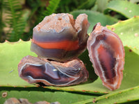 Polished On One Side Red Sashe River Agate Nodules x 24 From Zimbabwe