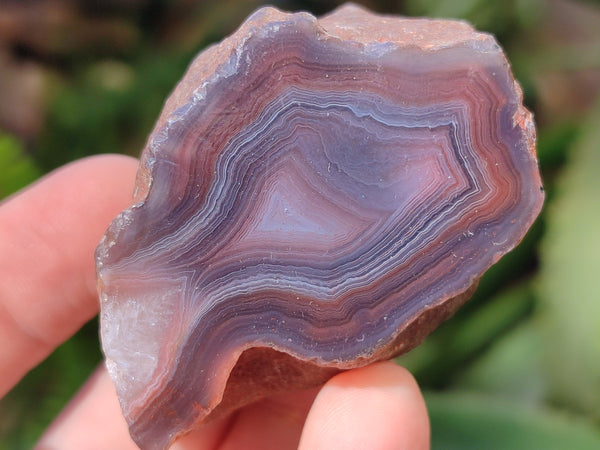 Polished On One Side Red Sashe River Agate Nodules x 24 From Zimbabwe - Toprock Gemstones and Minerals 