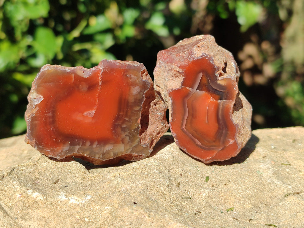 Polished On One Side Red Sashe River Agate Nodules x 24 From Zimbabwe - Toprock Gemstones and Minerals 