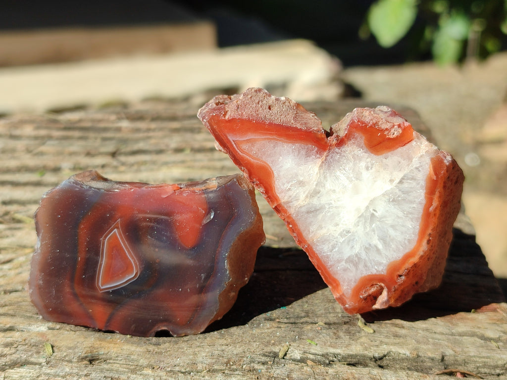 Polished On One Side Red Sashe River Agate Nodules x 24 From Zimbabwe - Toprock Gemstones and Minerals 