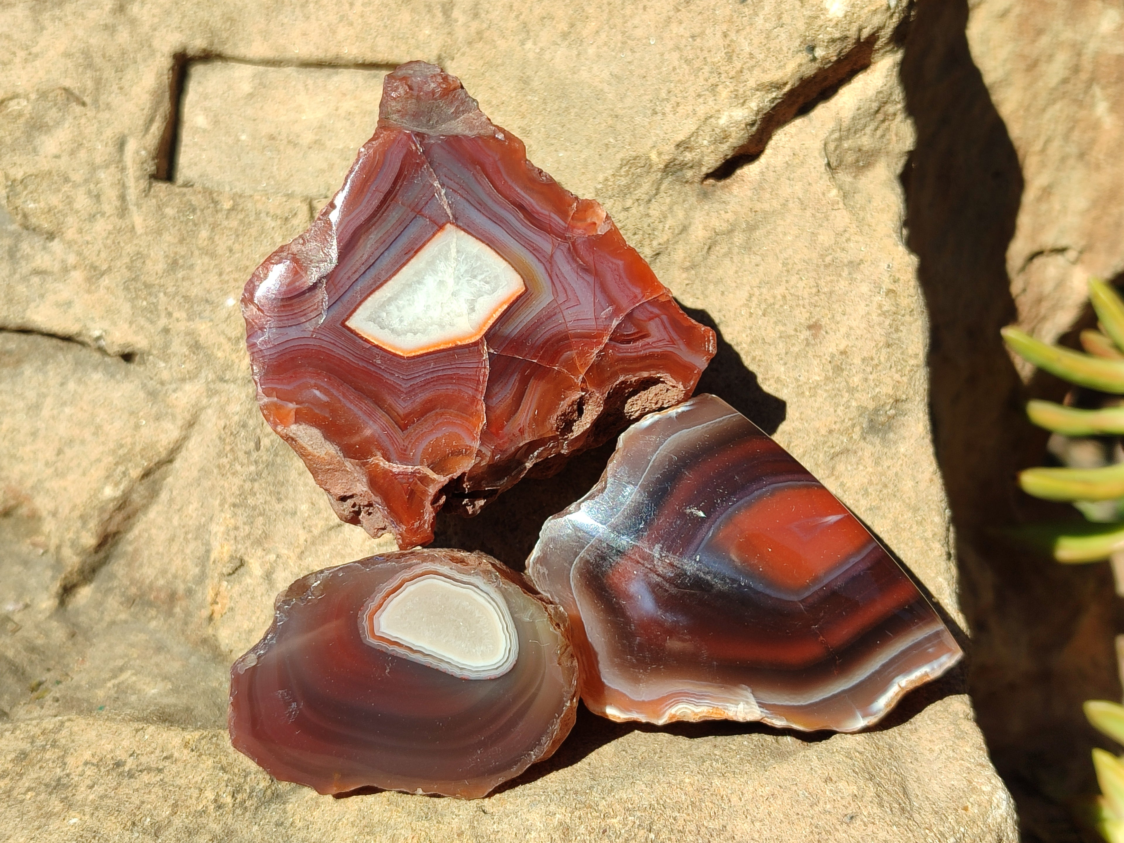 Polished On One Side Red Sashe River Agate Nodules x 24 From Zimbabwe - Toprock Gemstones and Minerals 