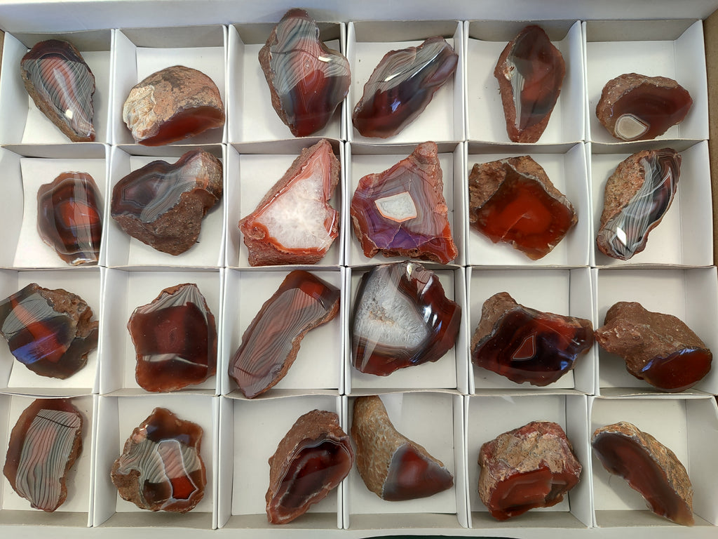 Polished On One Side Red Sashe River Agate Nodules x 24 From Zimbabwe - Toprock Gemstones and Minerals 
