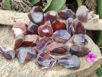 Polished On One Side Red Sashe River Agate Nodules x 24 From Zimbabwe