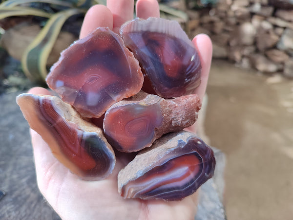 Polished On One Side Red Sashe River Agate Nodules x 24 From Zimbabwe