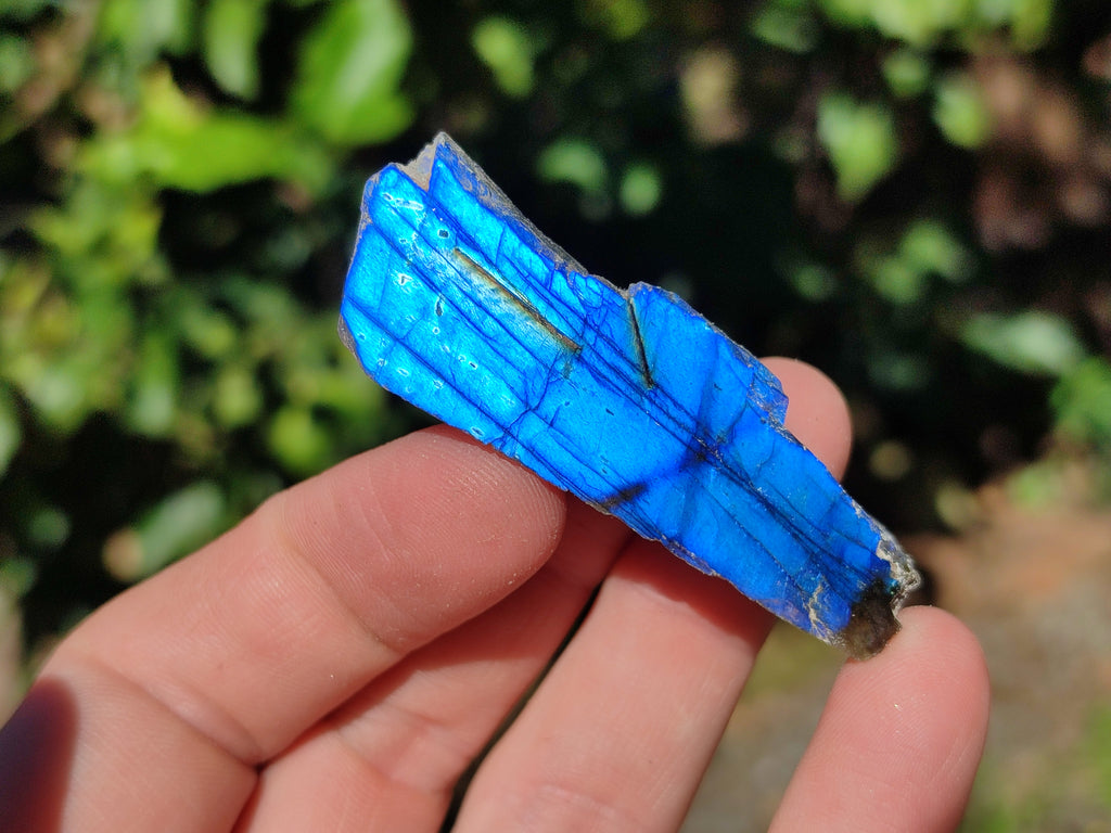 Polished On One Side Labradorite Plates x 35 From Tulear, Madagascar - Toprock Gemstones and Minerals 