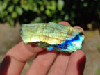Polished On One Side Labradorite Plates x 35 From Tulear, Madagascar - Toprock Gemstones and Minerals 