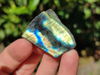 Polished On One Side Labradorite Plates x 35 From Tulear, Madagascar - Toprock Gemstones and Minerals 