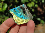 Polished On One Side Labradorite Plates x 35 From Tulear, Madagascar - Toprock Gemstones and Minerals 