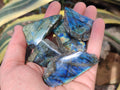 Polished On One Side Labradorite Plates x 35 From Tulear, Madagascar - Toprock Gemstones and Minerals 