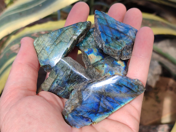 Polished On One Side Labradorite Plates x 35 From Tulear, Madagascar