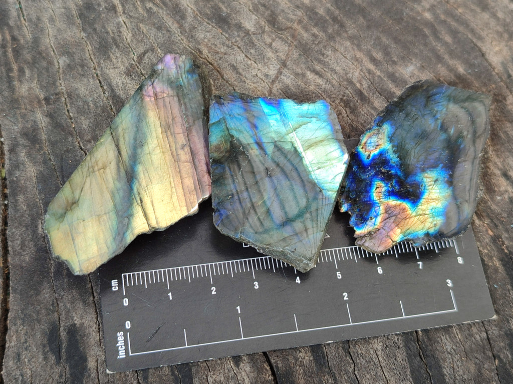 Polished On One Side Labradorite Plates x 35 From Tulear, Madagascar - Toprock Gemstones and Minerals 