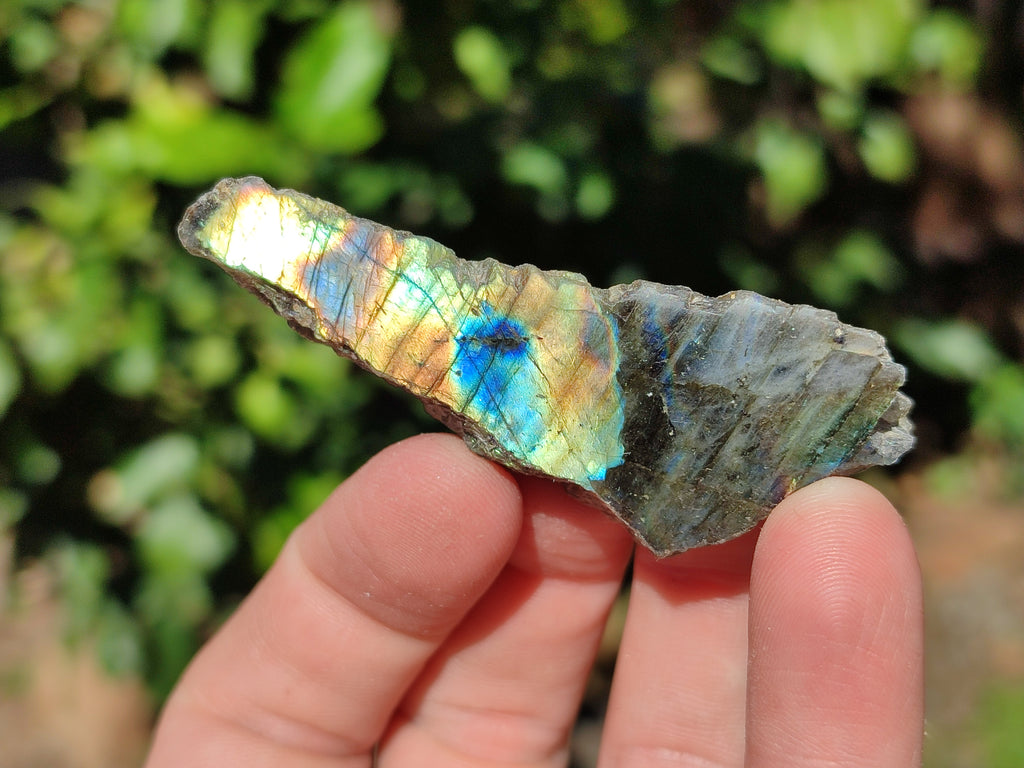 Polished On One Side Labradorite Plates x 35 From Tulear, Madagascar - Toprock Gemstones and Minerals 
