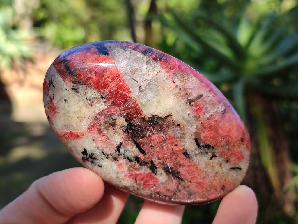 Polished Rhodonite Free Forms x 6 From Rhusinga, Zimbabwe - Toprock Gemstones and Minerals 