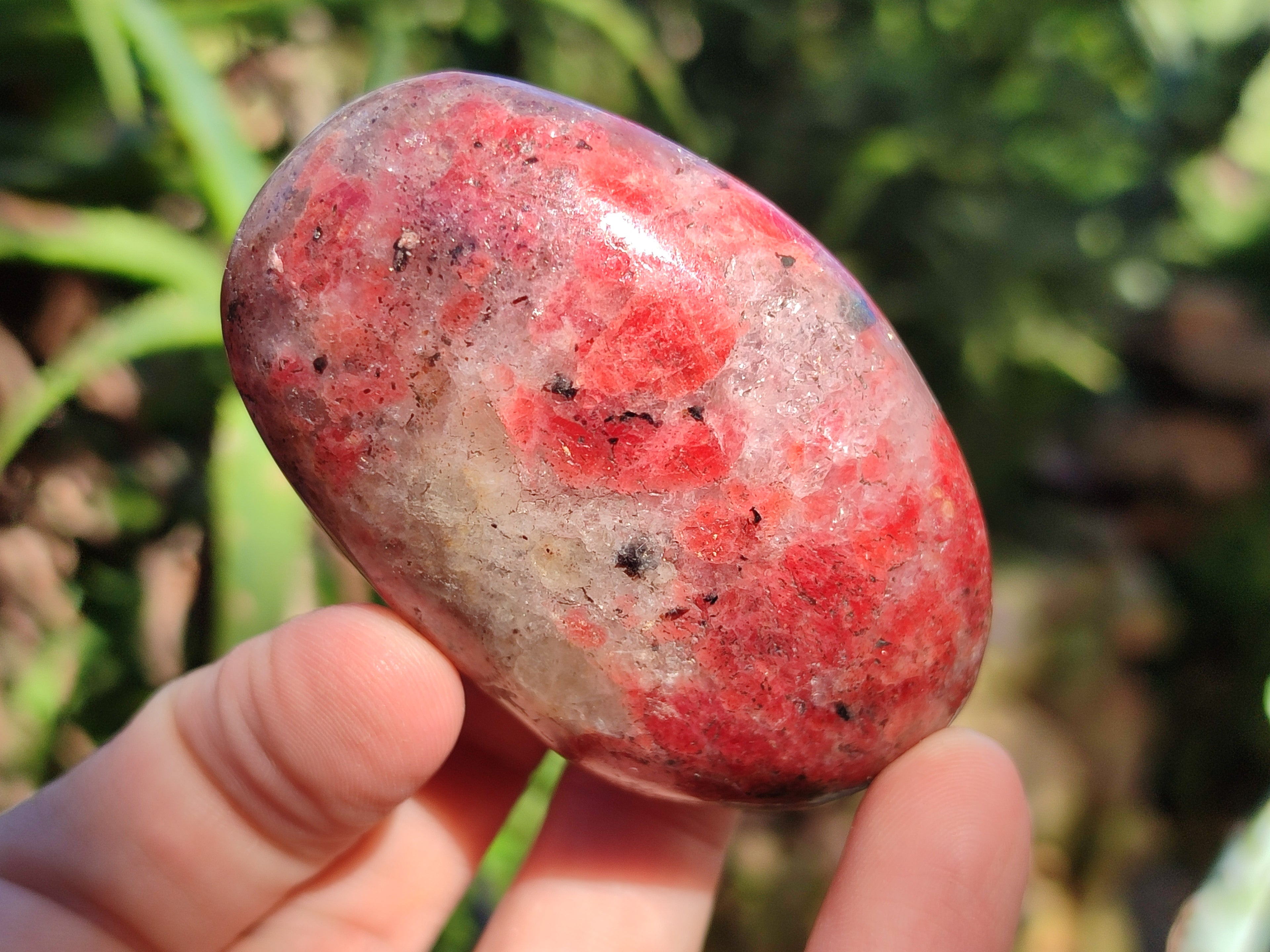 Polished Rhodonite Free Forms x 6 From Rhusinga, Zimbabwe - Toprock Gemstones and Minerals 