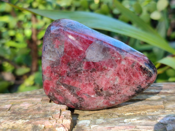 Polished Rhodonite Free Forms x 6 From Rhusinga, Zimbabwe