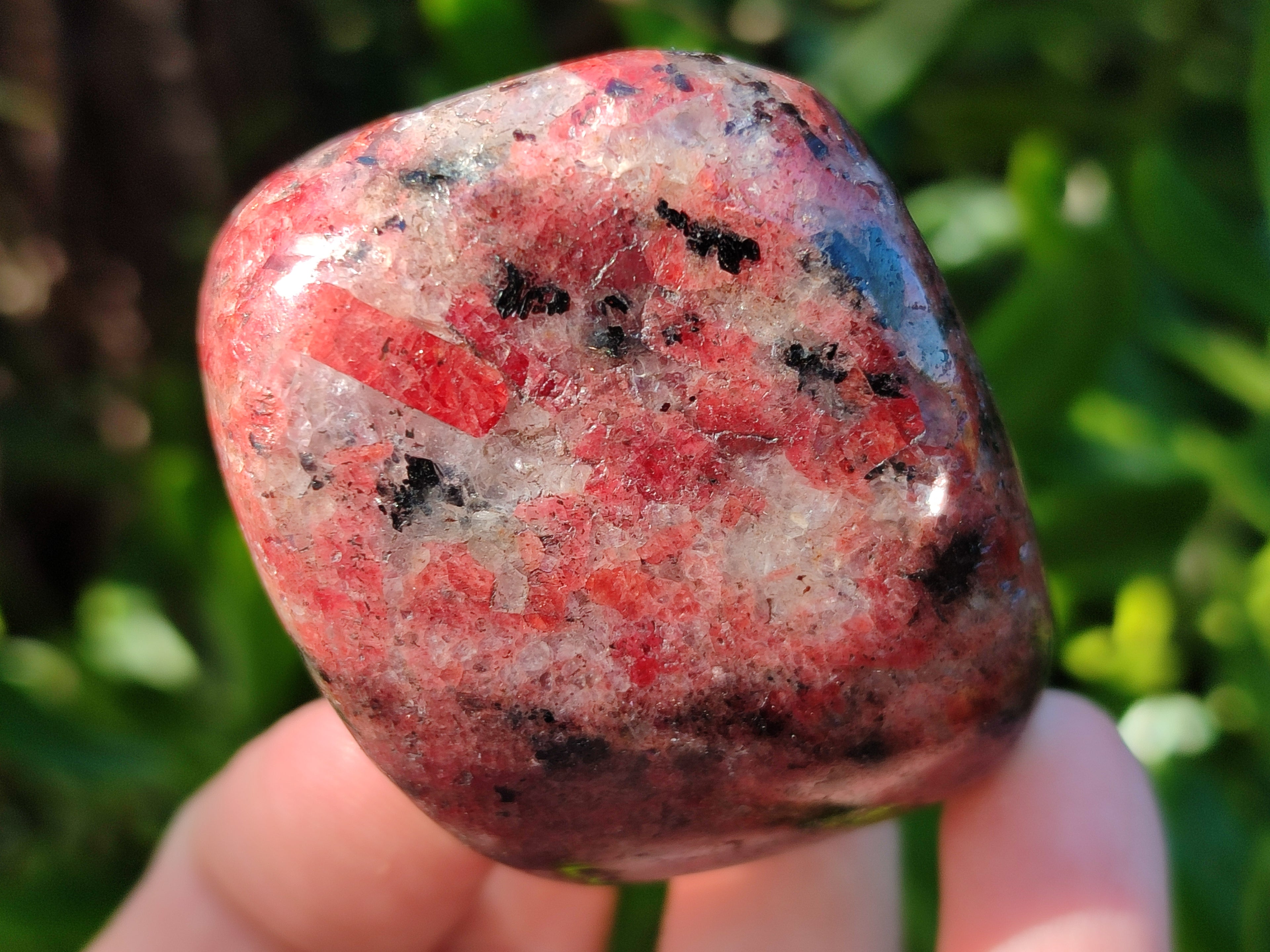 Polished Rhodonite Free Forms x 6 From Rhusinga, Zimbabwe - Toprock Gemstones and Minerals 