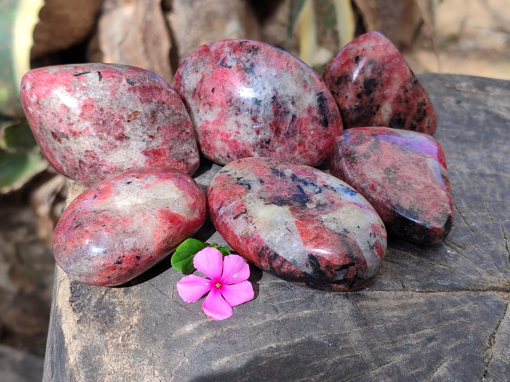 Polished Rhodonite Free Forms x 6 From Rhusinga, Zimbabwe - Toprock Gemstones and Minerals 
