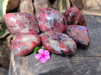Polished Rhodonite Free Forms x 6 From Rhusinga, Zimbabwe