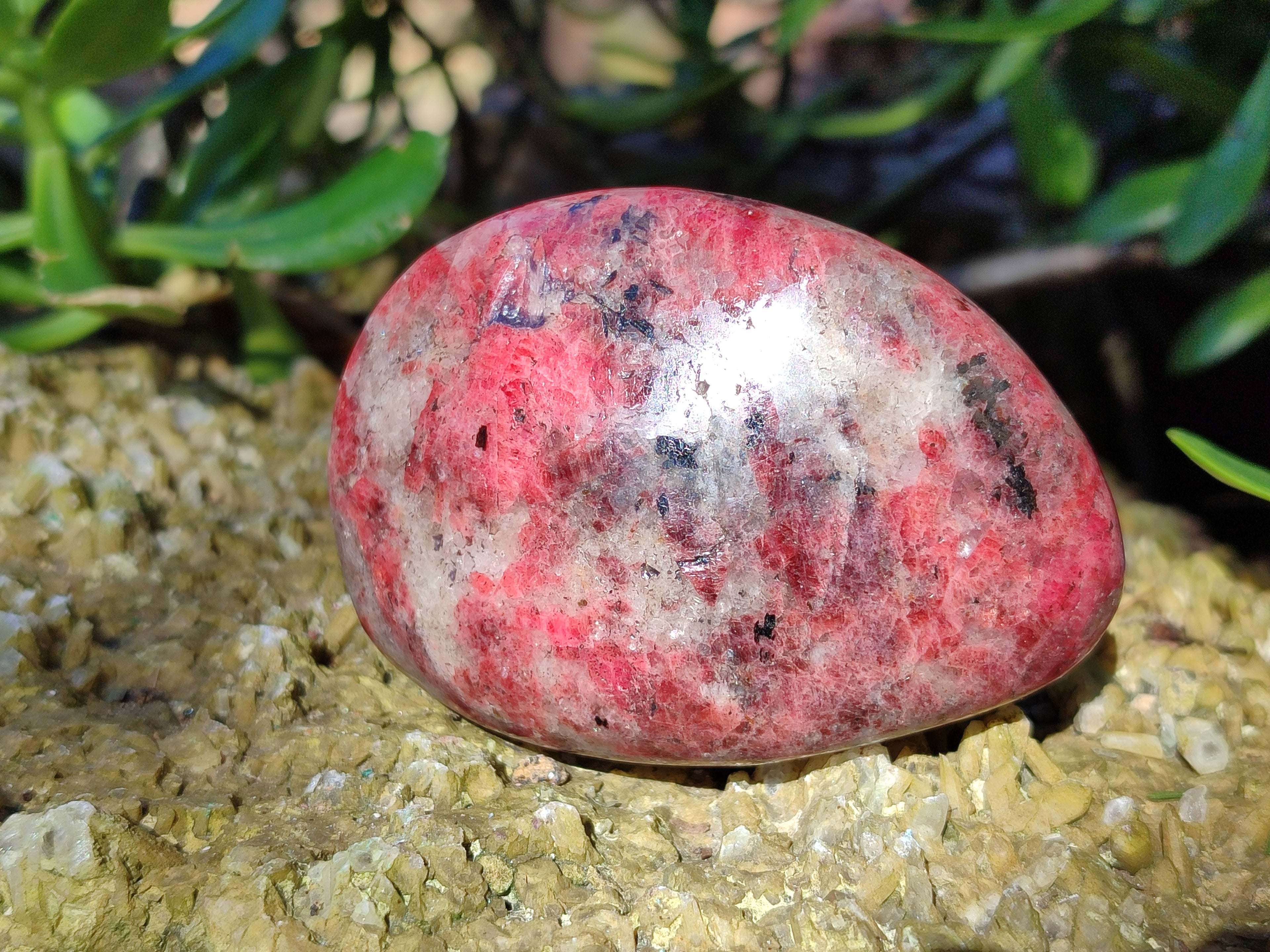 Polished Rhodonite Free Forms x 6 From Rhusinga, Zimbabwe - Toprock Gemstones and Minerals 