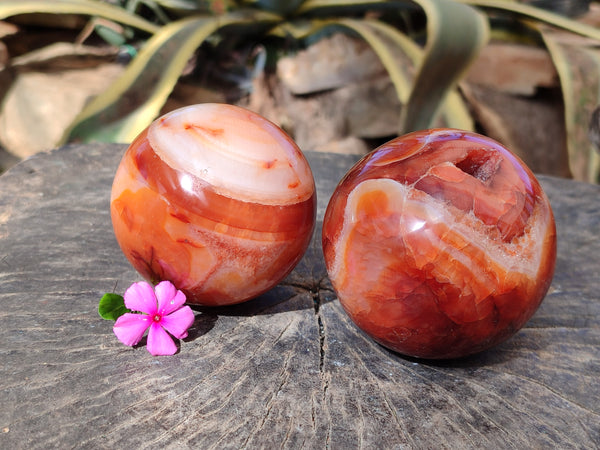 Polished Carnelian Spheres x 2 From Madagascar